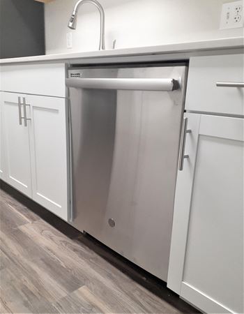 Stainless dishwasher